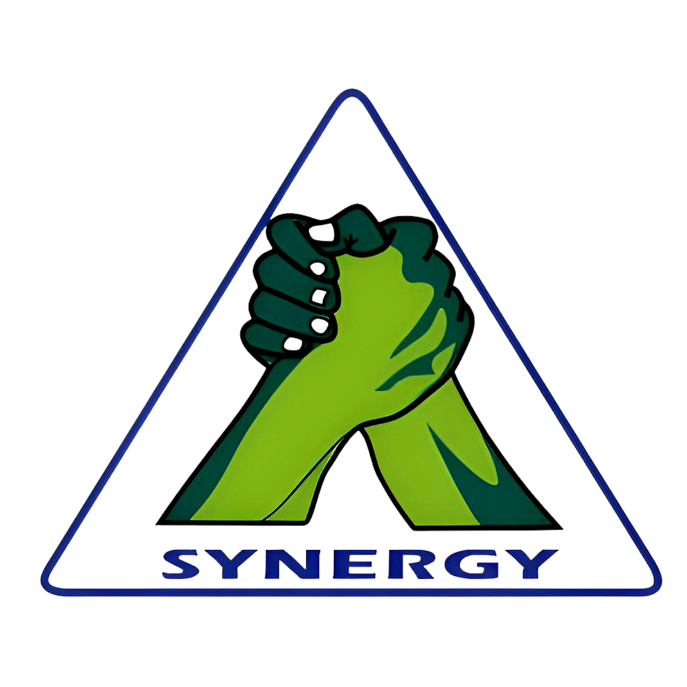 Synergy Logo